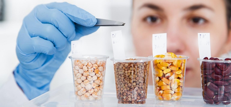 Popcorn Suppliers in delhi