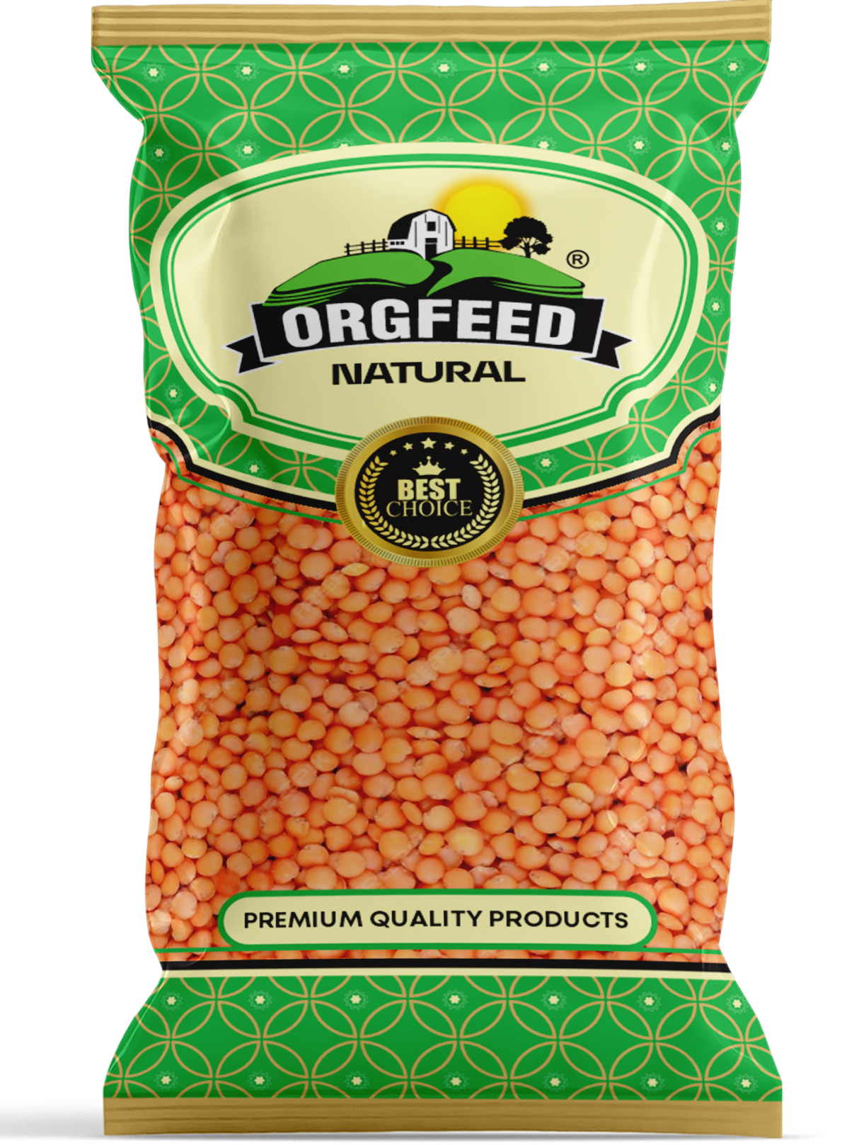 best snacks manufacturers in Delhi
